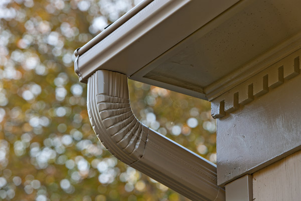 Leafguard Gutter Protection